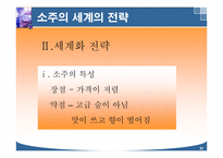주류 산업의 세계화 전략-20