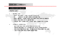 [국제경영환경론] 문화가 기업 경영에 미치는 영향 및 사례-20