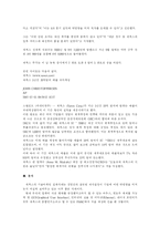제록스의 기술마케팅 실패사례-11