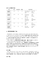 제주롯데 호텔 마케팅전략-3
