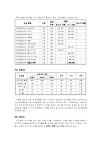 제주롯데 호텔 마케팅전략-4