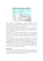 글로벌 기업의 금융 위험 관리-8
