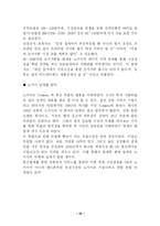 [비교경영론] 노키아와 삼성 애니콜 비교-13