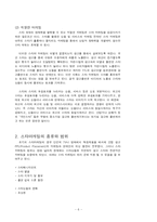 스타 마케팅 레포트-6