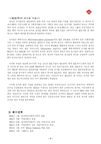 [국제경영전략] 미원의 인도네시아 해외진출 전략에 관한 연구-3