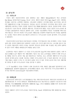 [국제경영전략] 미원의 인도네시아 해외진출 전략에 관한 연구-10