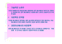 [국제경영] 월트 디즈니 사례-16