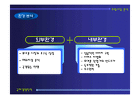 [국제경영전략] 삼성전자 애니콜 유럽시장 진출전략-10