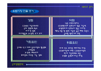 [국제경영전략] 삼성전자 애니콜 유럽시장 진출전략-11