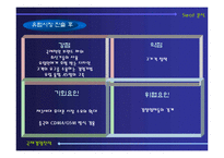 [국제경영전략] 삼성전자 애니콜 유럽시장 진출전략-12