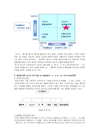 [국제경영] `FOCE` 세계 최고의 패션 명품 브랜드로의 도전-10