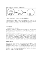 [경영전략] MK택시의 경영전략 사례-14