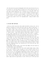 [국제경영] 철강 업계의 글로벌 경영전략 분석과 포스코의 향후 전략 제시-16