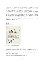[경영조직론] 제6장 국제 환경에서의 조직 설계-4