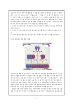 [경영조직] 로마에서 배우는 경영조직-17
