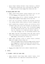 [국제관광론] 국제관광(포르투갈에 대하여...)-11