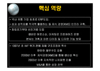 [이랜드의 M&A 전략 사례] 이랜드의 M&A 전략-14