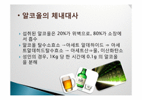 [식품영양학] 술의 특징과 체내에 미치는 영향-9