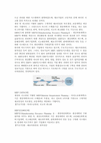 [경영정보시스템]ERP란 무엇인가(정의, 특징, 필요성)-3
