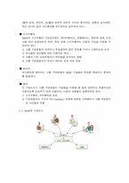 [경영정보화]GDSS의 이해를 위한 분석-6