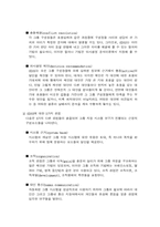 [경영정보화]GDSS의 이해를 위한 분석-11