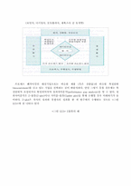 [경영전략]벤치마킹(Benchmarking)의 이해-8