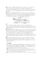 [경영전략]지식경영과 지식경영시스템에 관한 분석-5