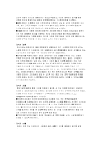 [경영전략]지식경영과 지식경영시스템에 관한 분석-6