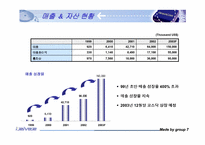 [경영분석] 아이리버 미국시장진출 분석-4