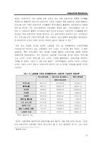 [노사관계론] 비정규직의 현황과 조직화실태,문제점 해결-13