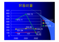 [재무관리]BYC와 쌍방울 재무분석-4