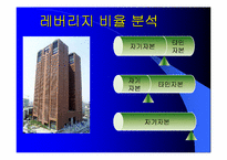 [재무관리]BYC와 쌍방울 재무분석-6