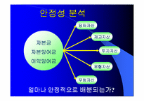 [재무관리]BYC와 쌍방울 재무분석-9