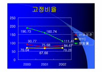 [재무관리]BYC와 쌍방울 재무분석-10
