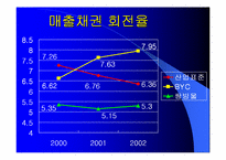 [재무관리]BYC와 쌍방울 재무분석-14