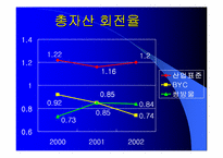 [재무관리]BYC와 쌍방울 재무분석-16