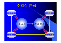 [재무관리]BYC와 쌍방울 재무분석-17