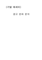 [대중문화] 광고문화 분석-1