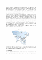 [국제경영] 매직컴의 인도네시아 시장에서의 경쟁력 향상 방안 및 나아가야할 방향-8