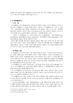 [전자무역] 전자무역 활성화 방안-4