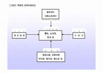 [경영전략] 현대백화점 경영전략-13