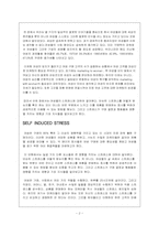 [소비자행동론] 여성스트레스가 구매 결정과 행동들에 영향을 끼치는 영향-2