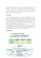 [이동통신산업]SK텔레콤의 `TTL브랜드 전략`에 관한 보고서-3