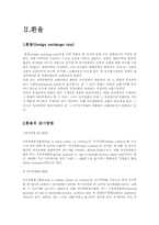 [금융관리]외환과 환율에 관한 조사-7