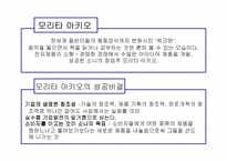 [독서감상문]경영전략 독후감 `21세기가 요구하는 성공인의 조건`-5