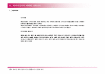 [국제마케팅]해외시장에서의 현대자동차의 성공사례 분석-7