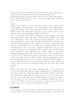 [국제정치경제]독일식 경제체제와 경제발전과 우리나라의 방향모색-9