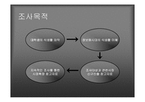 [대학문화]대학생의 식생활 조사 계획서-2