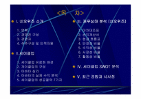 [기업분석]네오위즈의 세이클럽의 경영전략분석-2