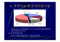 [기업분석]네오위즈의 세이클럽의 경영전략분석-9